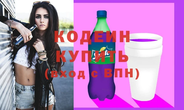 индика Ладушкин