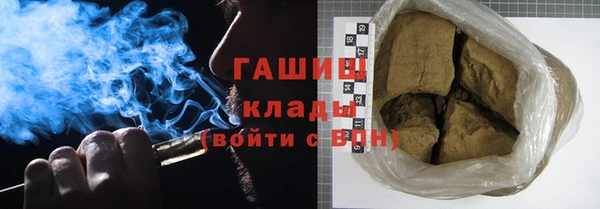индика Ладушкин