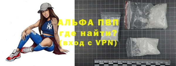 индика Ладушкин