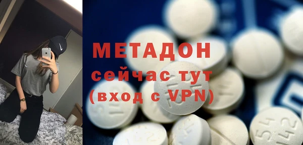 индика Ладушкин