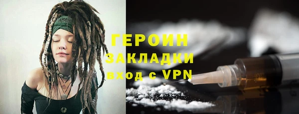 индика Ладушкин