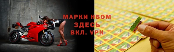 индика Ладушкин