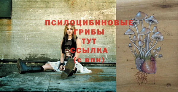 МДПВ Лабытнанги