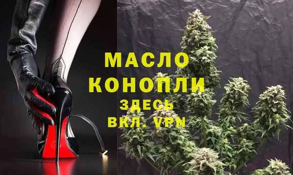 индика Ладушкин