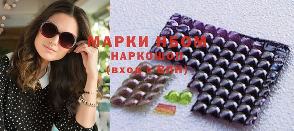 индика Ладушкин