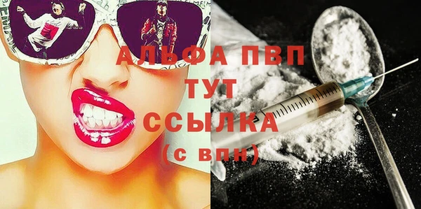 индика Ладушкин
