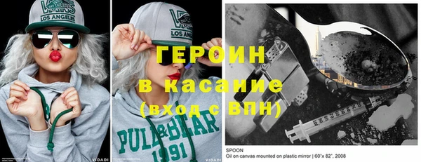 индика Ладушкин
