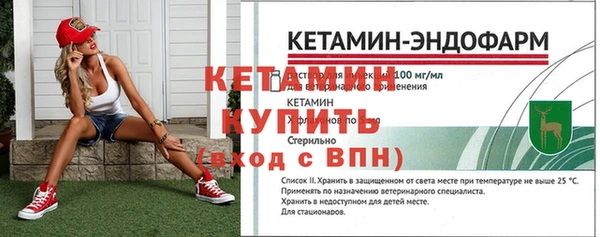 индика Ладушкин