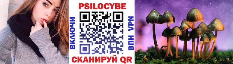Псилоцибиновые грибы мицелий Сызрань